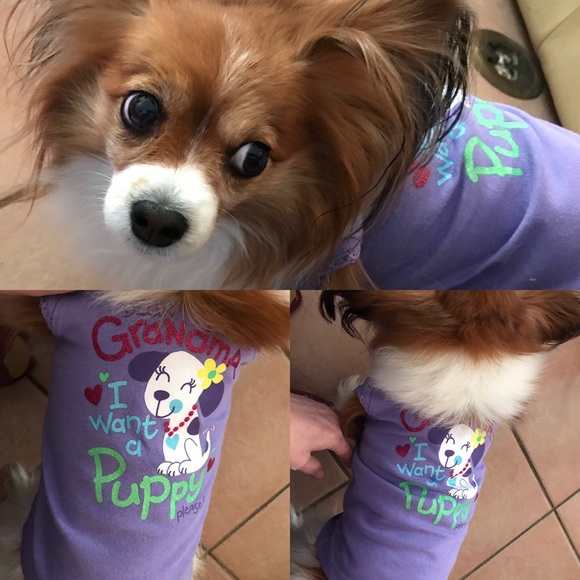 Meet your Posher, Teresa - Picture 3 of 6